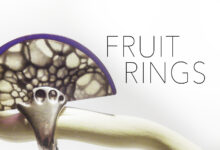 Fruit Rings